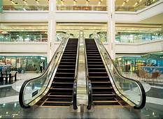 Đội ngũ nhân sự chuyên nghiệp